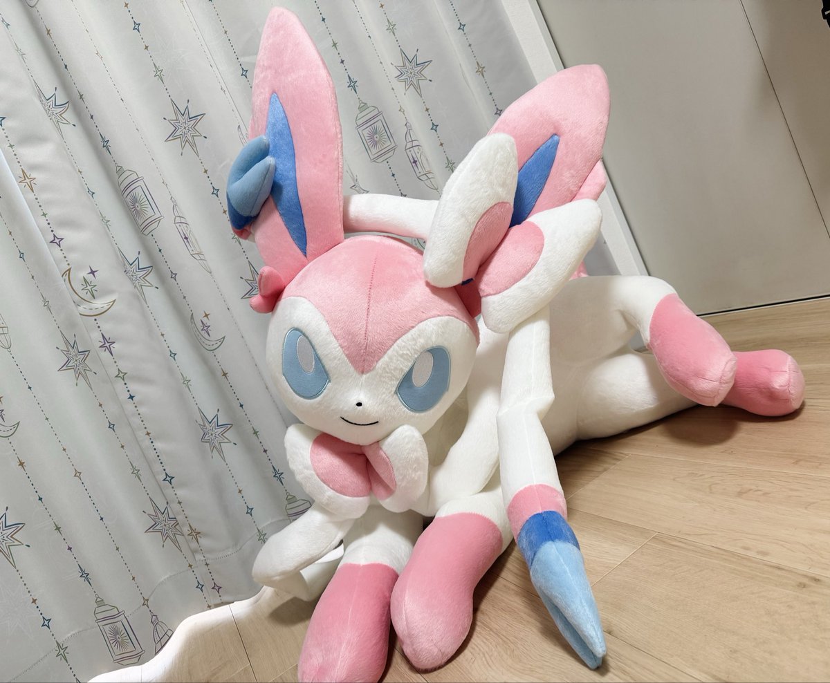 かっっっわいい(*´˘`*)︎💕︎︎