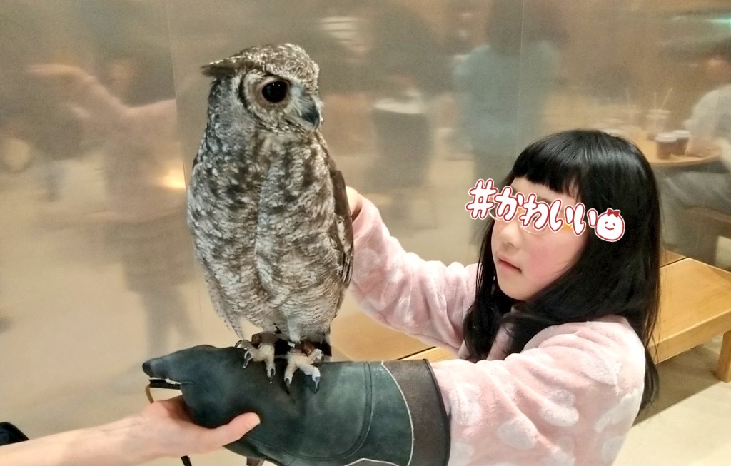thousand_ze_ro's tweet photo. 拝啓 春寒の候 時下ますますご清栄のこととお慶び申し上げます（コピペ）我々親子は建国記念の日に動物と触れ合っておりました。2月22日Winter YOSAKOI in多賀城お昼休み企画「出張よさGIG」なのですが結局何もブッキング出来ず、特にだいそれたことはしない。となりました（笑）なので基本はお昼休みで、踊り足りない&お客様で来ていた踊り子さんに向けて総踊りなどを行う予定でおります。ので持ち込み企画などございましたらドシドシコメントお待ちしております。じゃないとずっと40分だらだらトークする事になります（←正気か？）あとあまりにやること無くなったら「前代未聞口パクアーティスト・専子」による口パクライブをやろうかと考えています（←だから正気なのか？）歴史的瞬間をッ！見逃すなッッ！