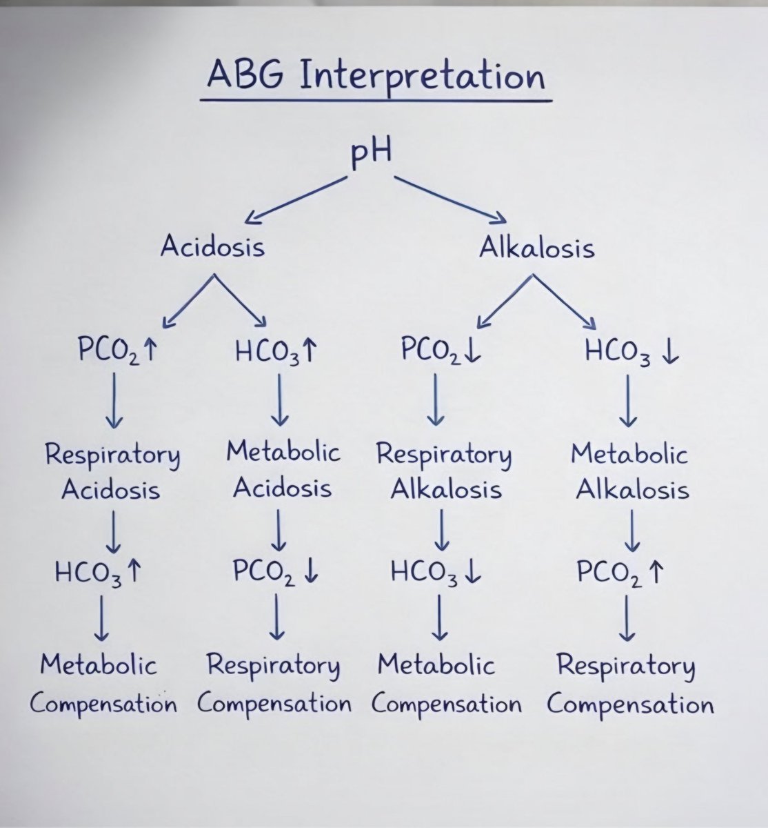 nervemed tweet media