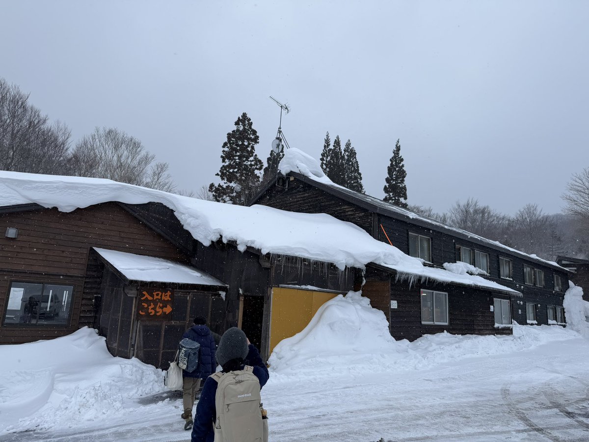 Post by red on X: 🐈