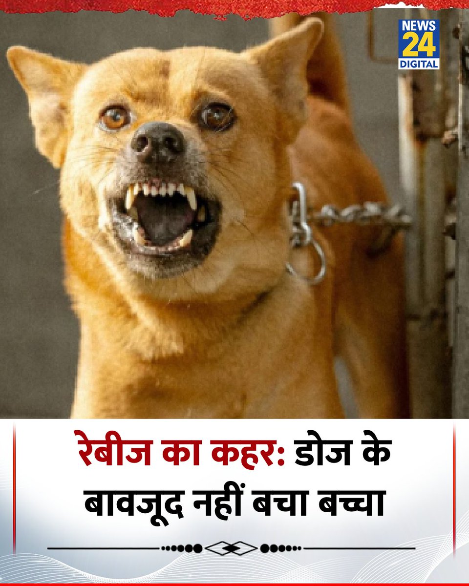 MyVadodara's tweet image. Why rabies vaccines are not able to save victims?

#Straydogs #rabies