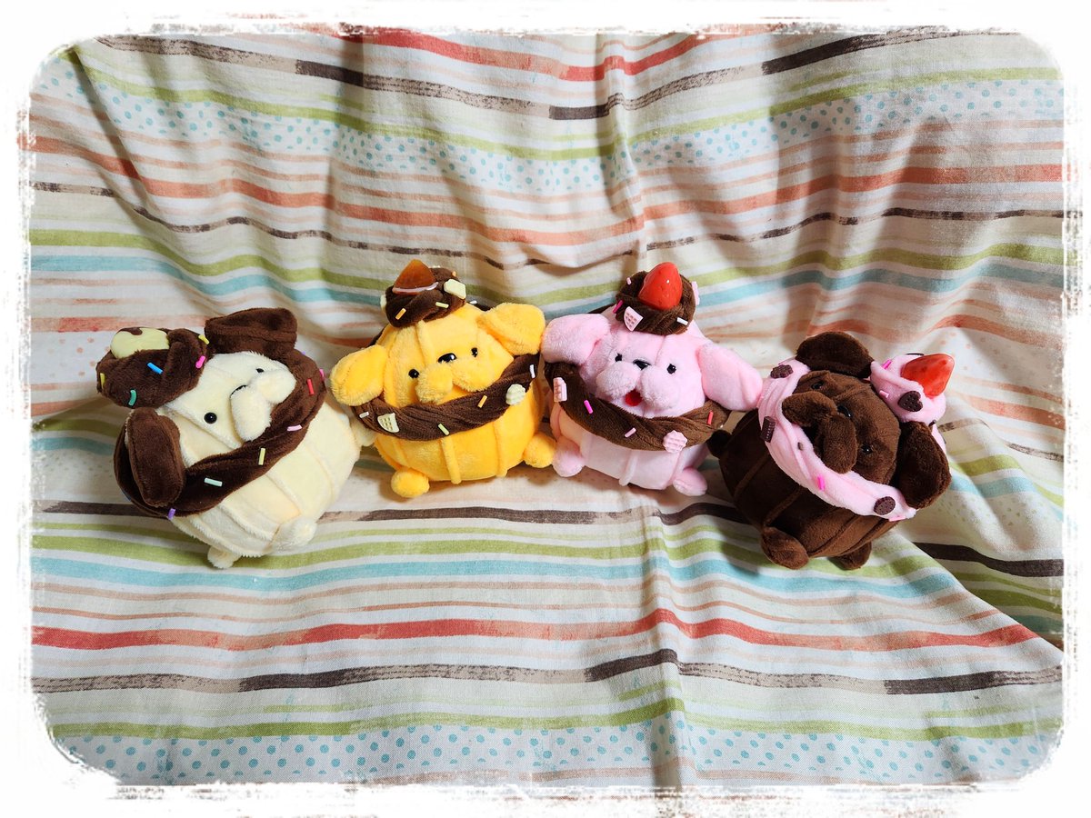 Whipooo🐩🧁 (@whipooo_y) / Posts / X