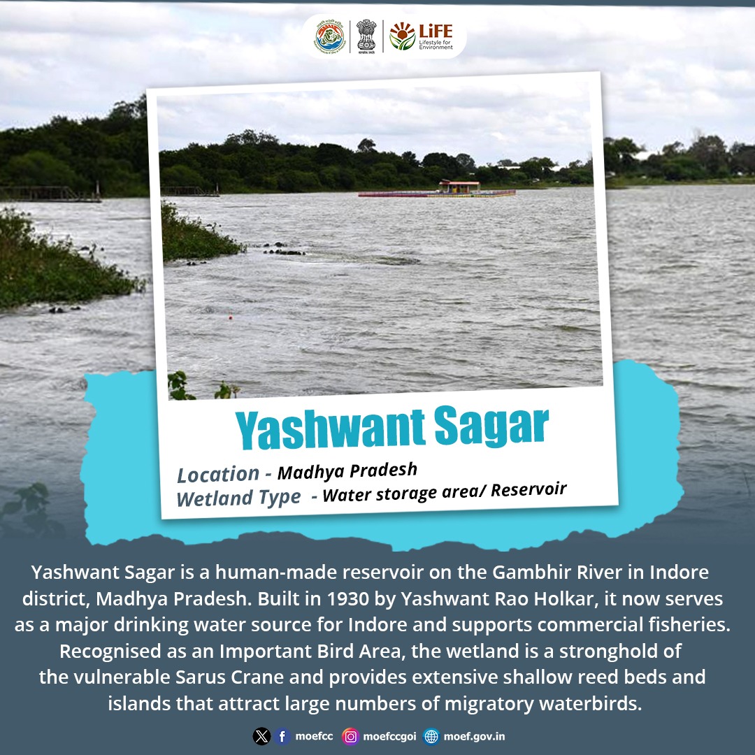 moefcc's tweet image. Yashwant Sagar, a human-made Ramsar Site on the Gambhir River in Madhya Pradesh, serves as a major drinking water source for Indore, supports commercial fisheries, and attracts large numbers of migratory waterbirds.

#Wetlands #Ramsar