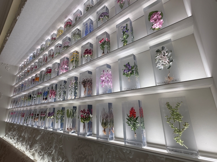 FASHIONHL's tweet image. Dior Bamboo Pavilion Opens in Daikanyama, A Dialogue with Japan
→fashion-headline.com/en/article/487…
#Dior #DiorBambooPavilion #Daikanyama 
#NEWOPEN