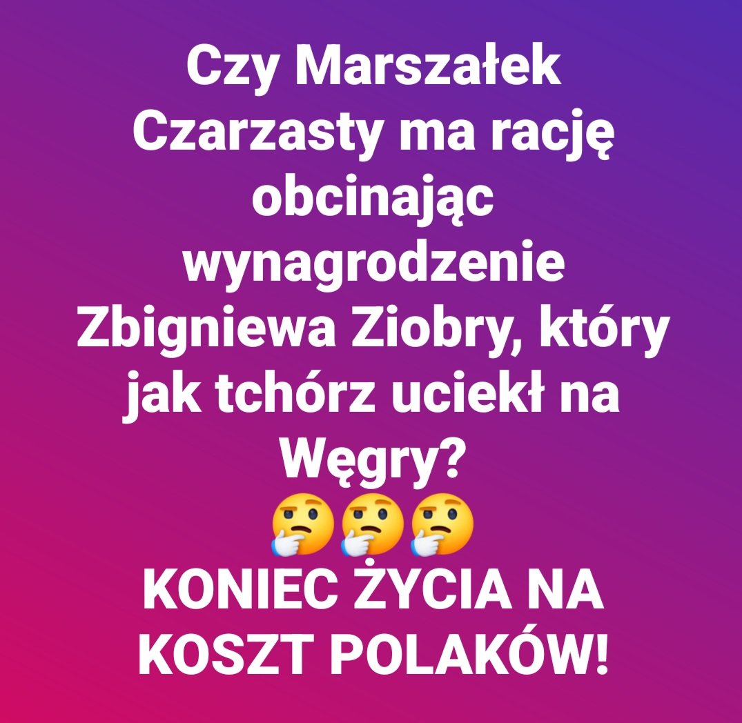 Pajo tweet media