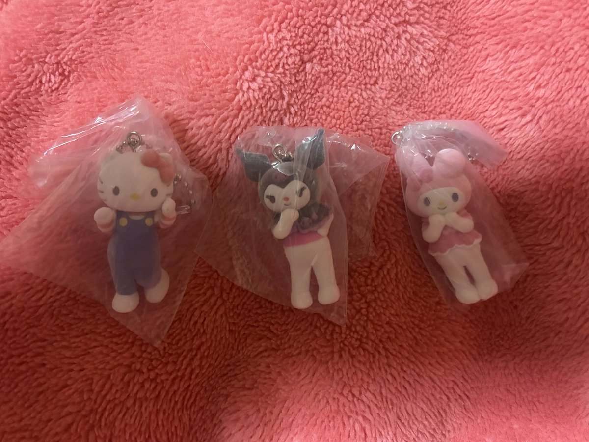 🏷️🤎 キティ シナモン クロミ マイメロ ポチャッコ ポムポムプリン