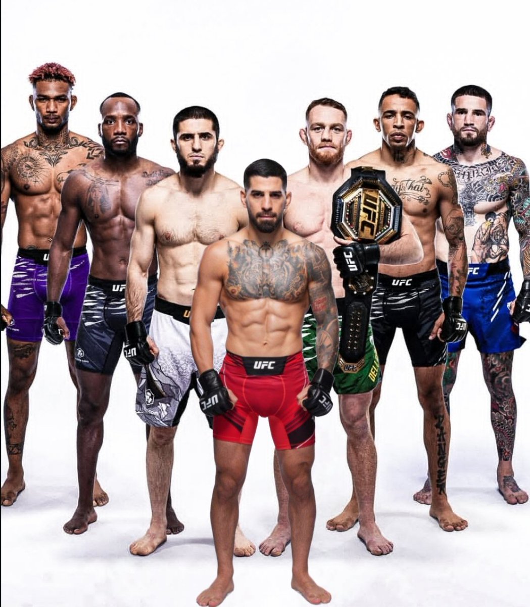 MeterPeter UFC tweet media
