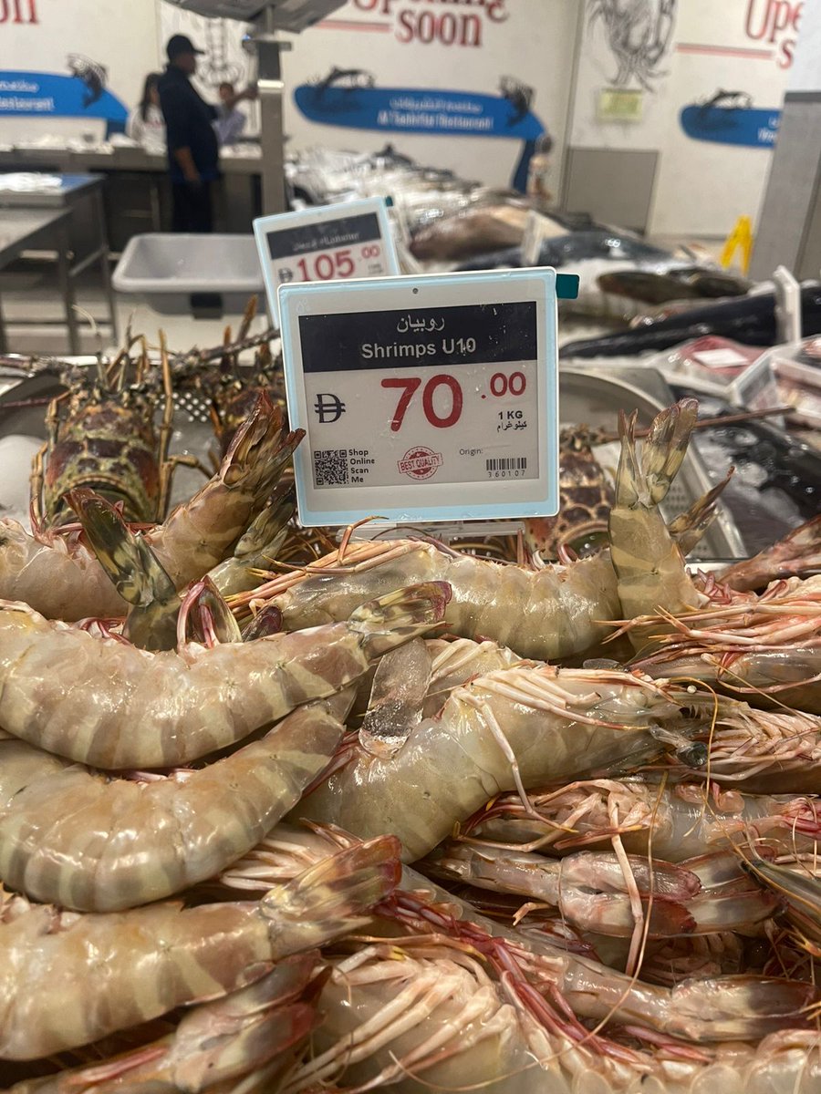 SUNYTechnology's tweet photo. Perfect clarity in the deepest chill! Our 4.2-inch low-temperature ESLs deliver crisp, real-time pricing for frozen goods in supermarket freezers and seafood displays. ❄️
#ESL #SmartRetail #ColdChain #FrozenGoods #RetailTech #4InchDisplay #SeafoodMarket #SupermarketTech https://t.co/RMG7KnTtOA
