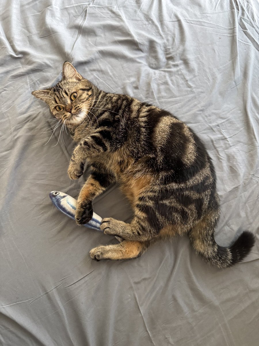 risty 👩🍳 tweet media