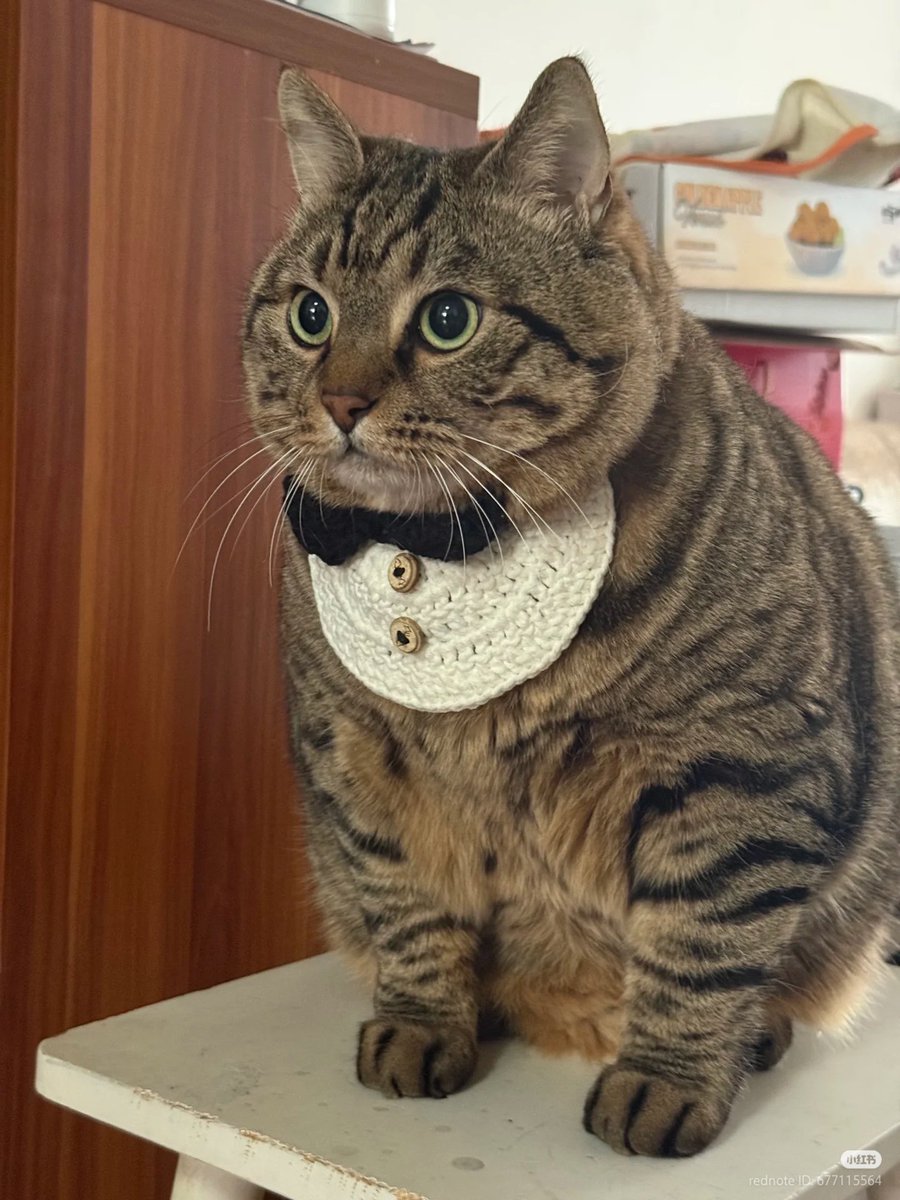 Distinguished gentleman