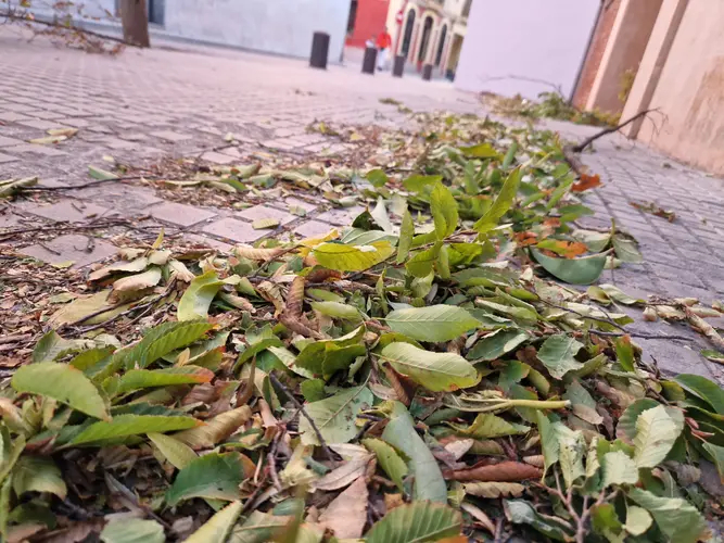 Ràdio Rubí tweet media