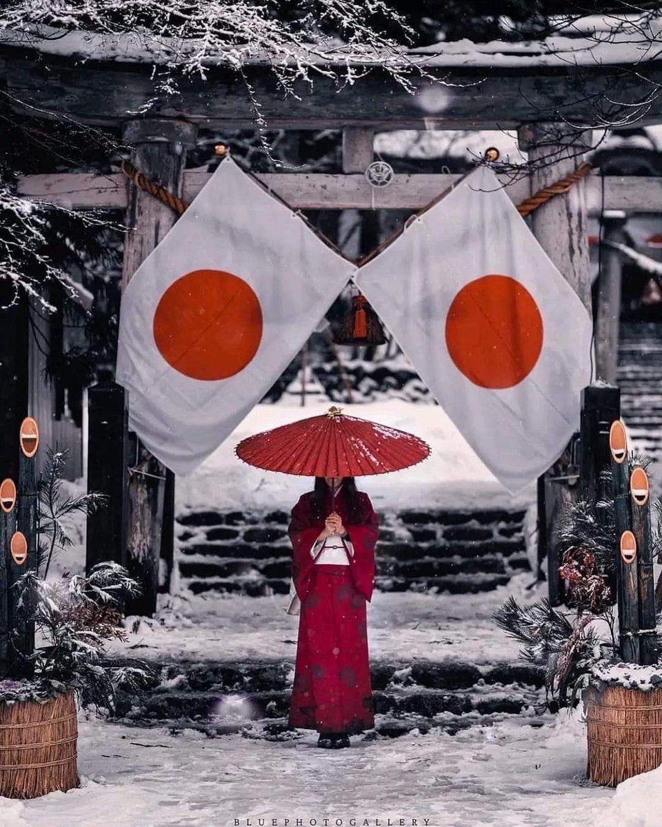 のらいぬ tweet media