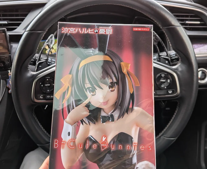 バニーハルヒ買った…! 網タイツが塗装とかプリントじゃなく本物のメッシュ素材で驚いた 最近のプライズはすごいね