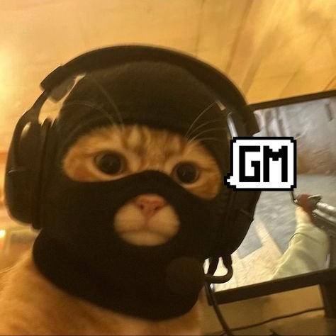 _gmbot's tweet photo. GM https://t.co/vC82FTxCTX