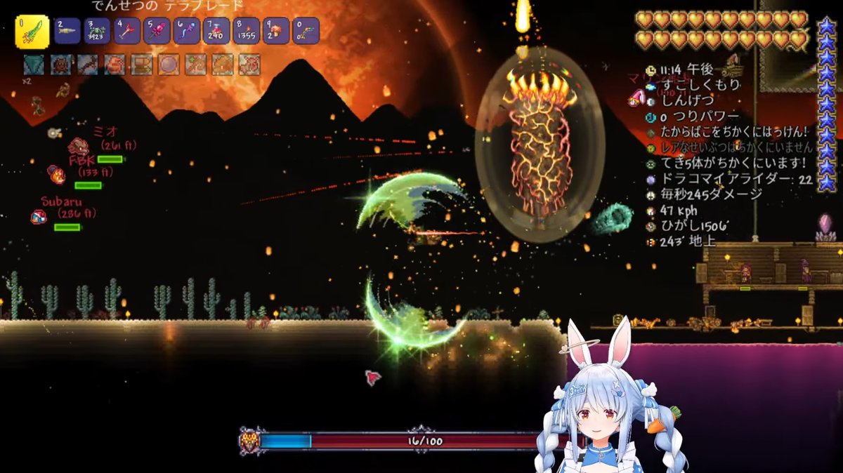 背景✨#ホロテラリア