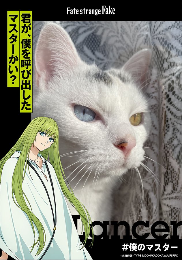 #strangefake僕のマスター
いただきましたワ…‼️🩵💛