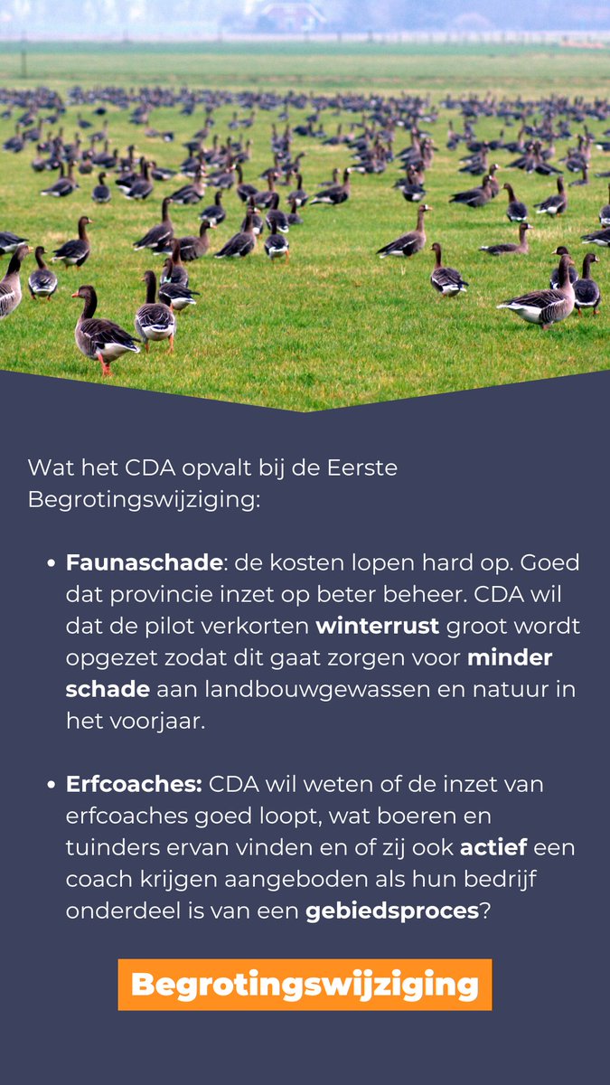 CDA Noord-Holland tweet media