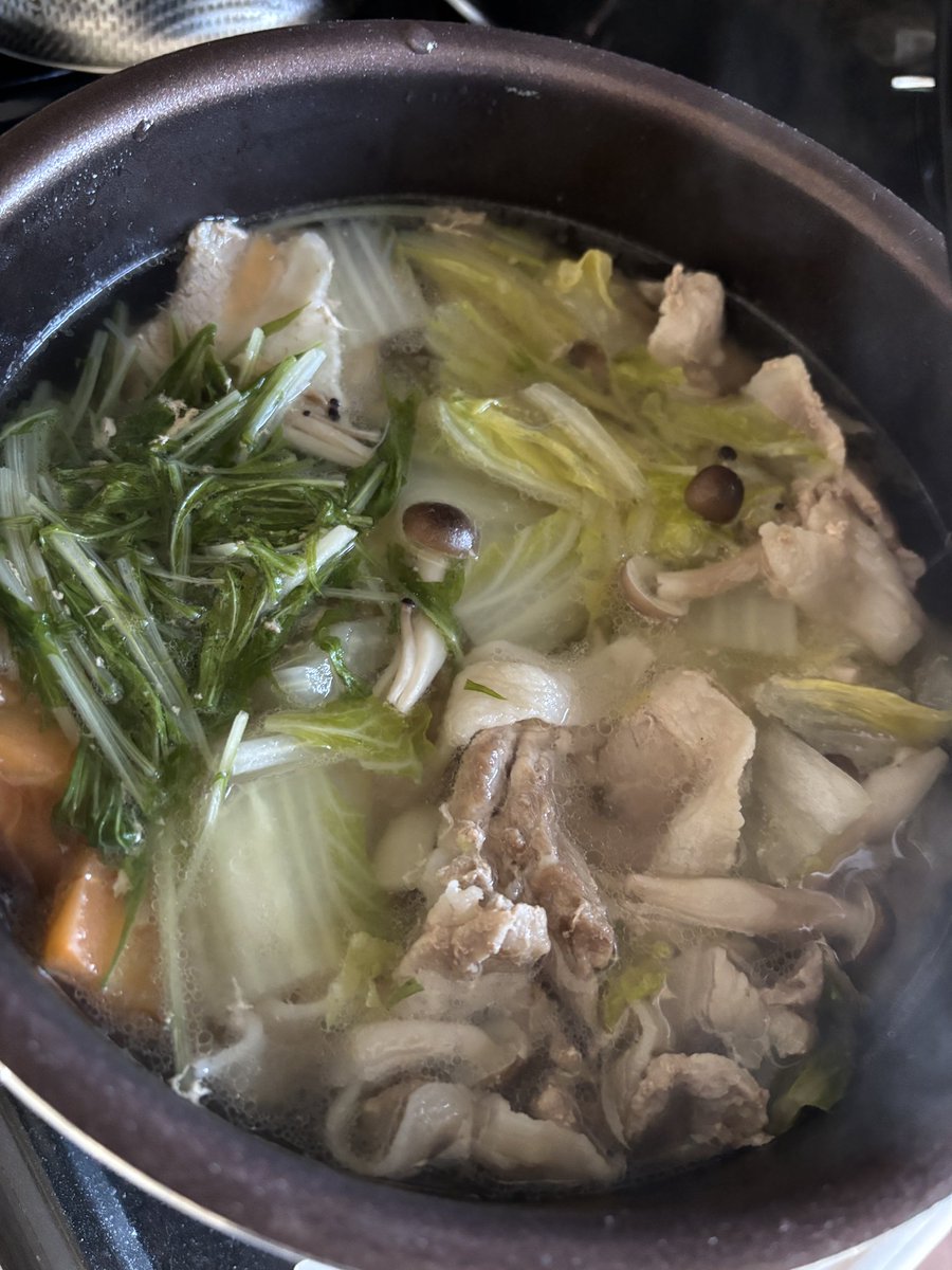 日曜に雪の中を鈴本演芸場前に朝5時から並んでいた方があるとか。そこまでしても見たいぐらい好きなんでしょう。尊い。「風邪ひかなきゃいいけど」って思うけど、好きって気持ちが菌をやっつけちゃうでしょうね。

志麻さんの塩鍋を作ってみました。隠してある私専用のちょっと高い塩を使いました🕺🏻