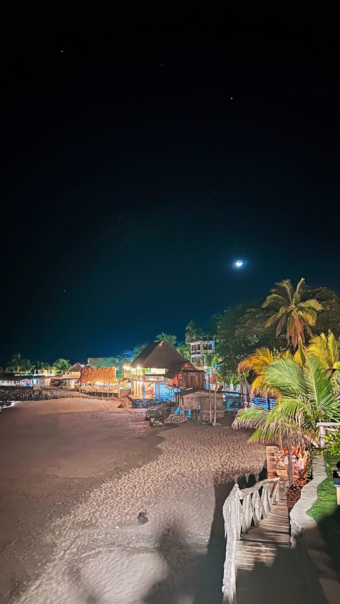 Bitcoin Archive tweet media