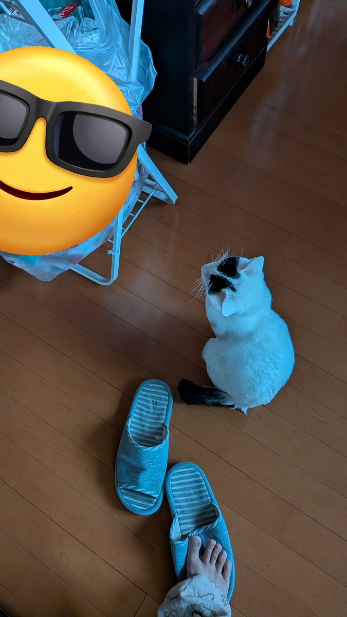 捨てられたチュールの袋を探している