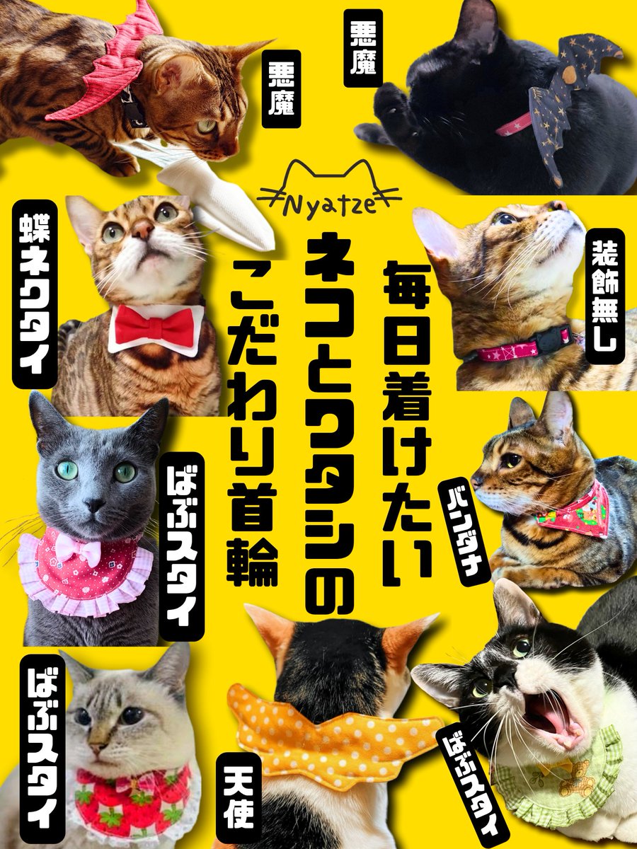 勝手に宣伝します（笑） 本日🐱の日！ 東京ビッグサイトでは昨日と今日