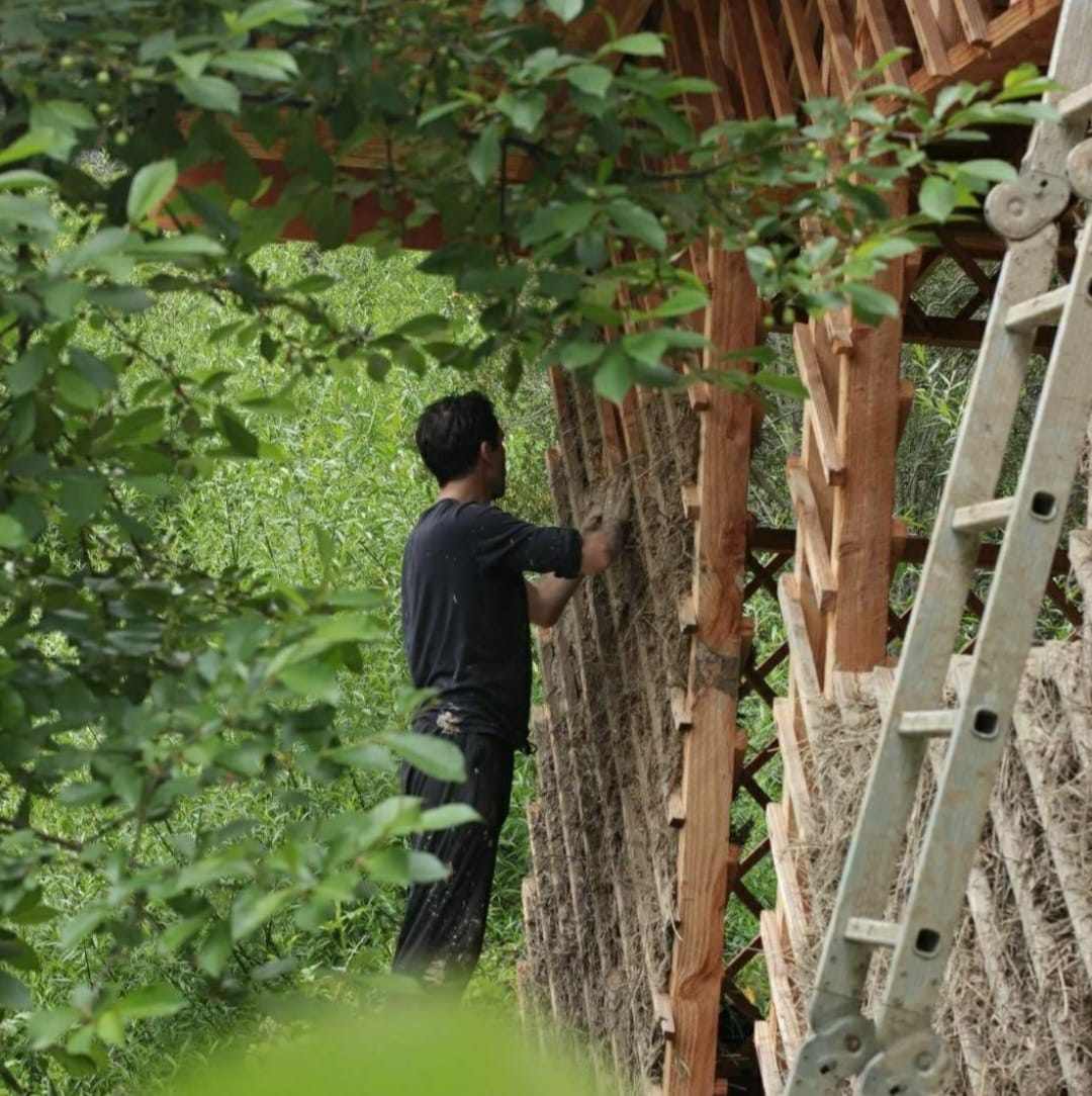 Bosque Gracias 🌳 Art Residency tweet media