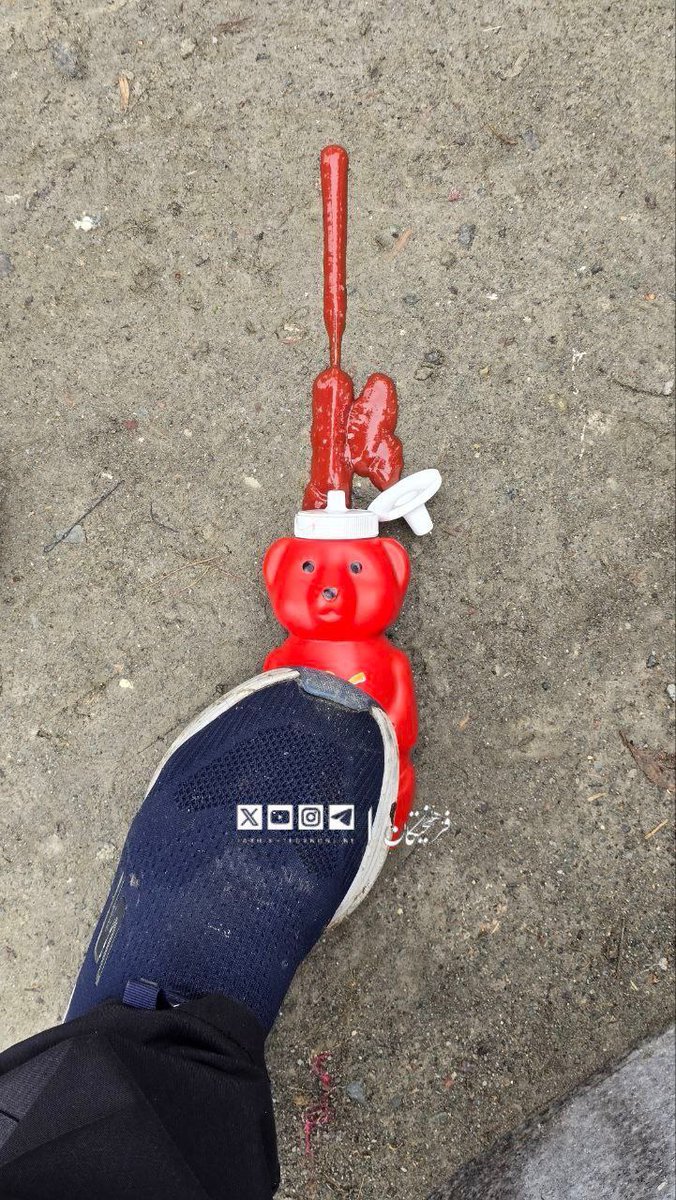 ببخشید شاهزاده تون زیر دست و پا چیز شد..