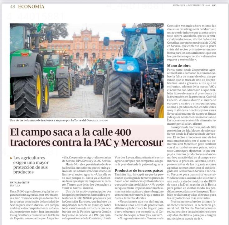 RicardoS2019's tweet photo. Defendemos el campo sevillano porque es nuestro futuro, es nuestra economía y el sustento de miles de familias.

Vamos a continuar a su lado e ir de la mano en todas sus reivindicaciones, que son las nuestras. https://t.co/4ommRttLY3