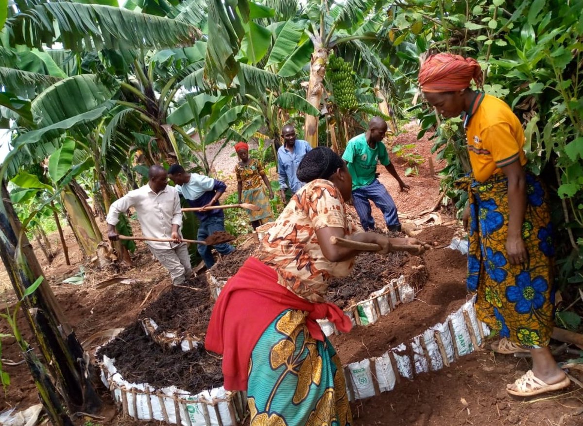 NgomaDistrict's tweet photo. Abaturage b'Umurenge wa #Mutenderi bakomeje kugaragaza ko kwihaza mu biribwa bitangirira ku muryango. Kubaka uturima tw’igikoni muri buri rugo ni igisubizo kirambye mu gukumira igwingira no guteza imbere imirire myiza y’abana mu muryango. https://t.co/UMUdf6zshL