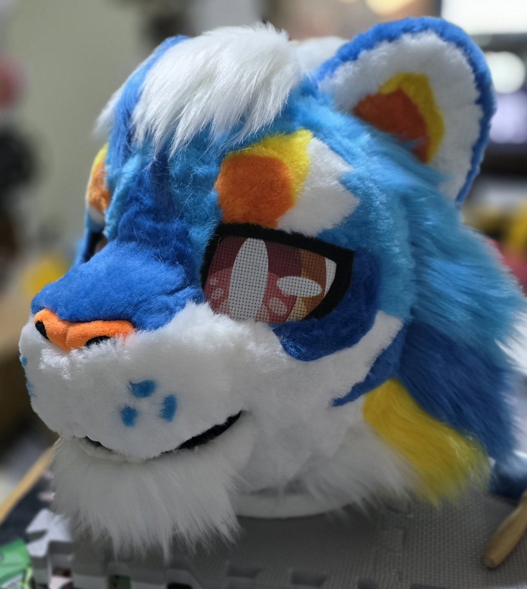 🐾Keda Marche🐾 tweet media