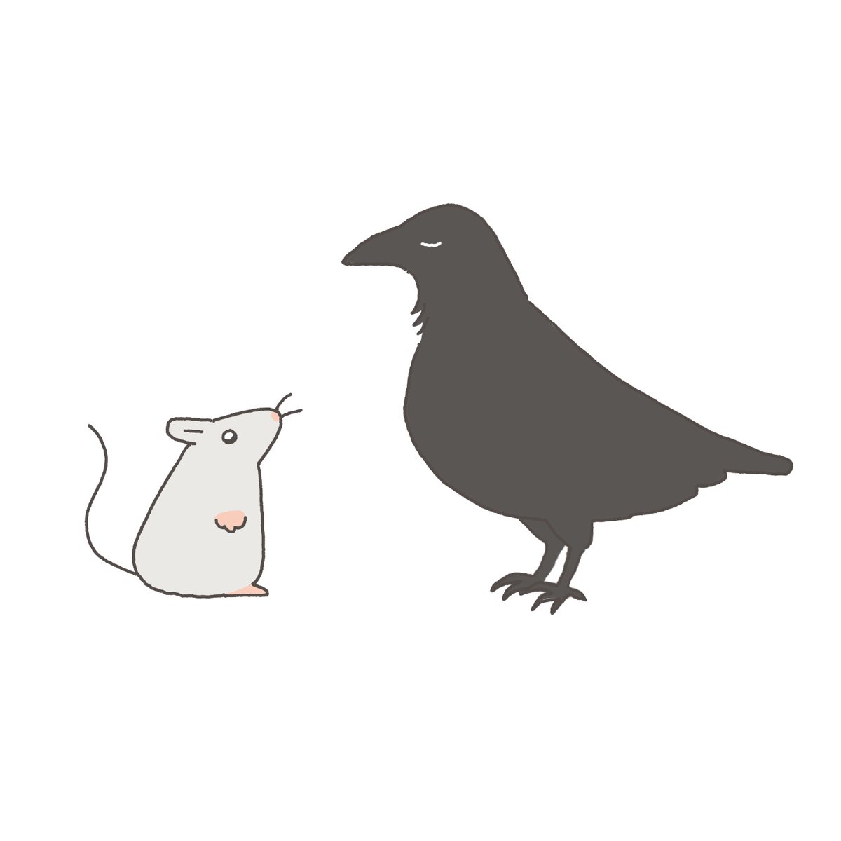 설치류를설치하기 tweet media