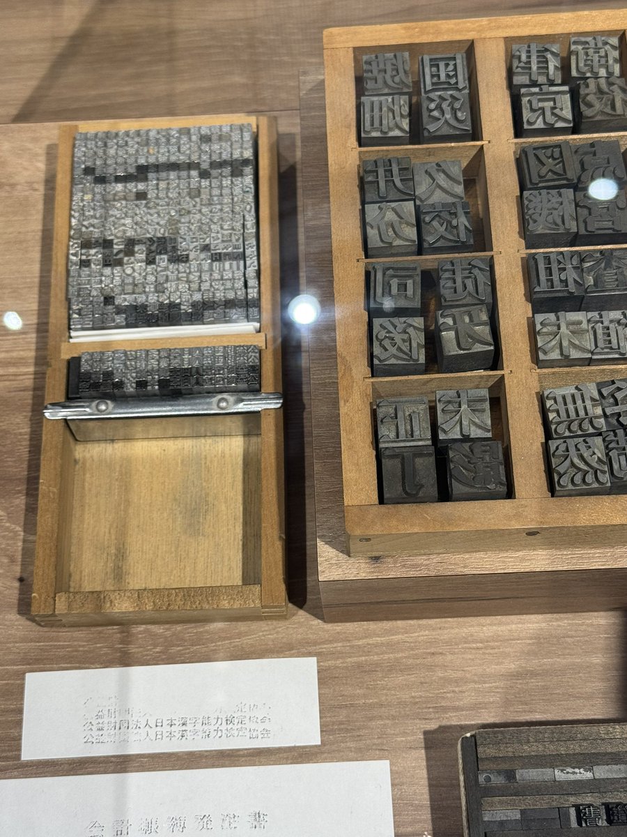 木の実 (@tamaminori) / Posts / X