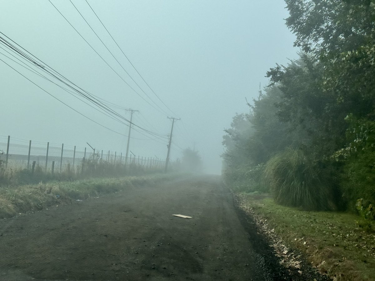 Julio Cerda Gómez tweet media