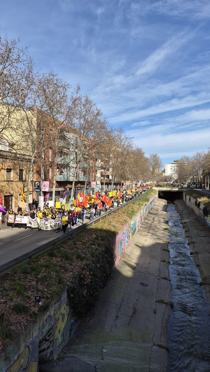 USTEC_Girona's tweet photo. Les quatre columnes de Girona arriben al Pont del Dimoni per continuar fins als SSTT d’ Educació 
#DignifiquemLaProfessió 
#VagaEducativa https://t.co/qYnt9V4dFv