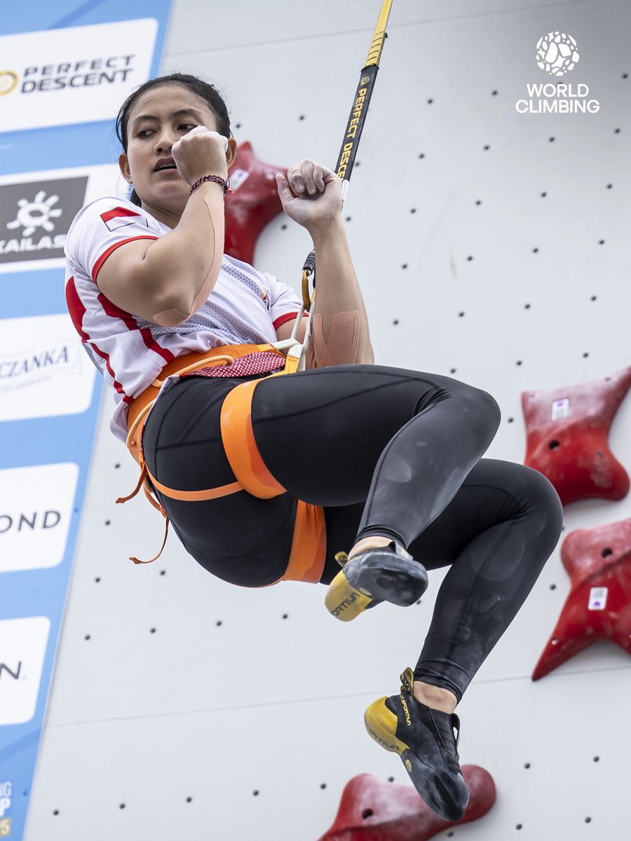 World Climbing tweet media