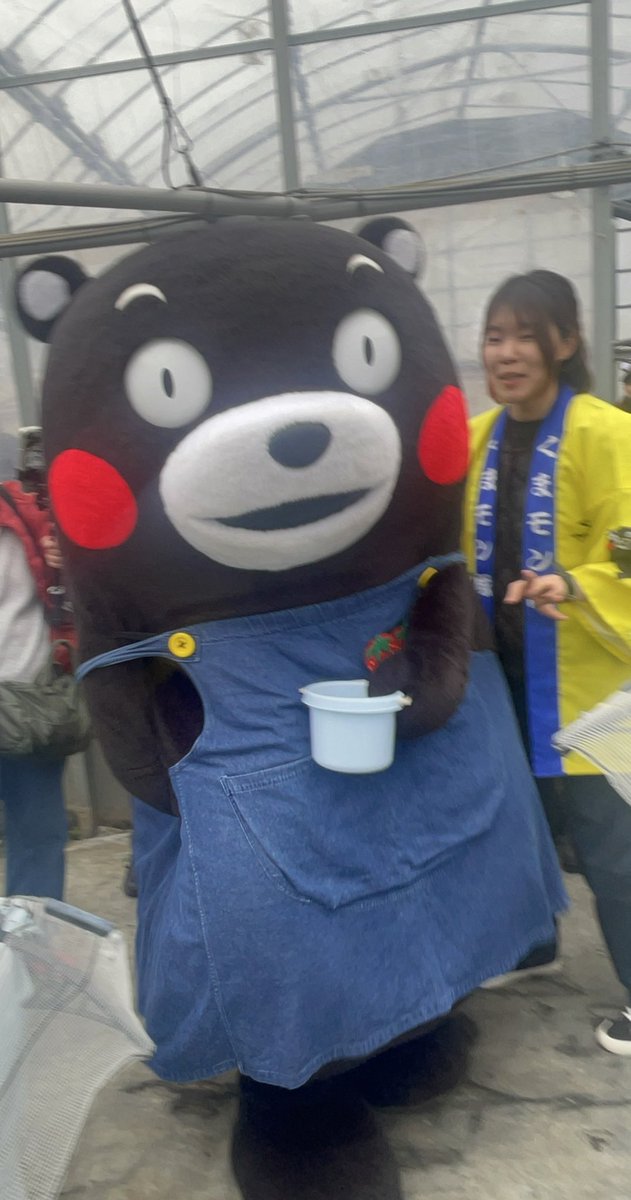 kumamon_ree's tweet photo. プレミアムな1日。感謝しかない。

#芦北いちごの森いちご狩り🍓
#くまモンファンサミット熊本 https://t.co/DBfXgtKw53