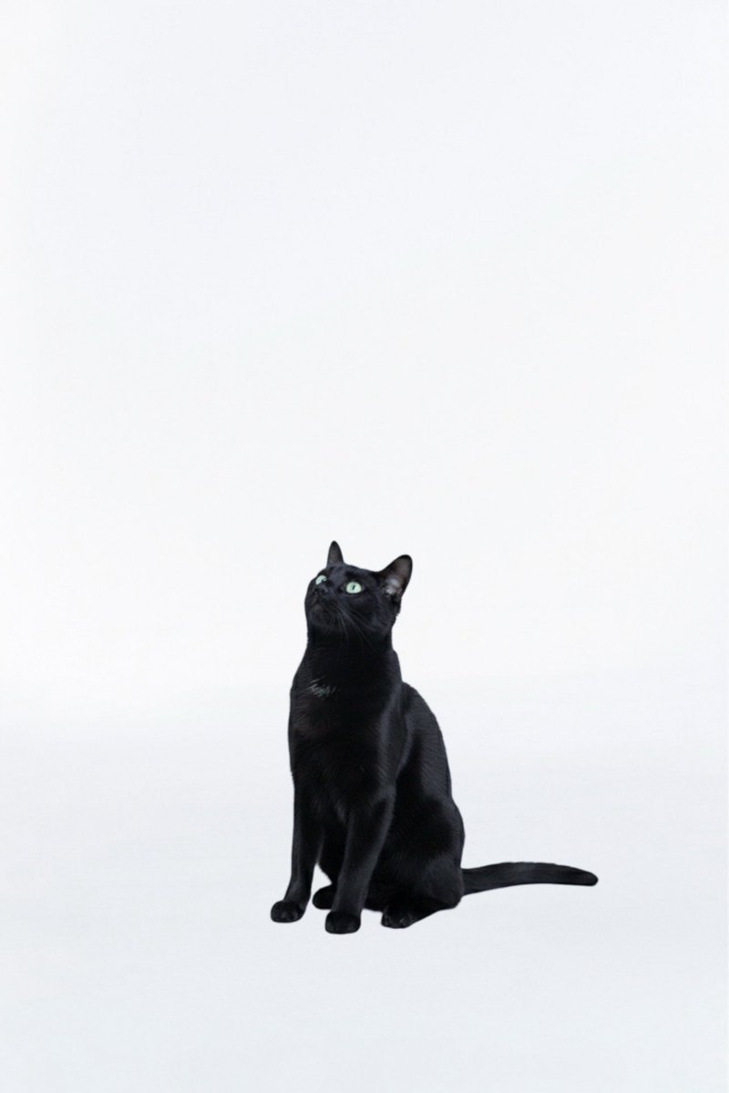 ᴋᴍ.✿ (@fallinkmm) on Twitter photo 