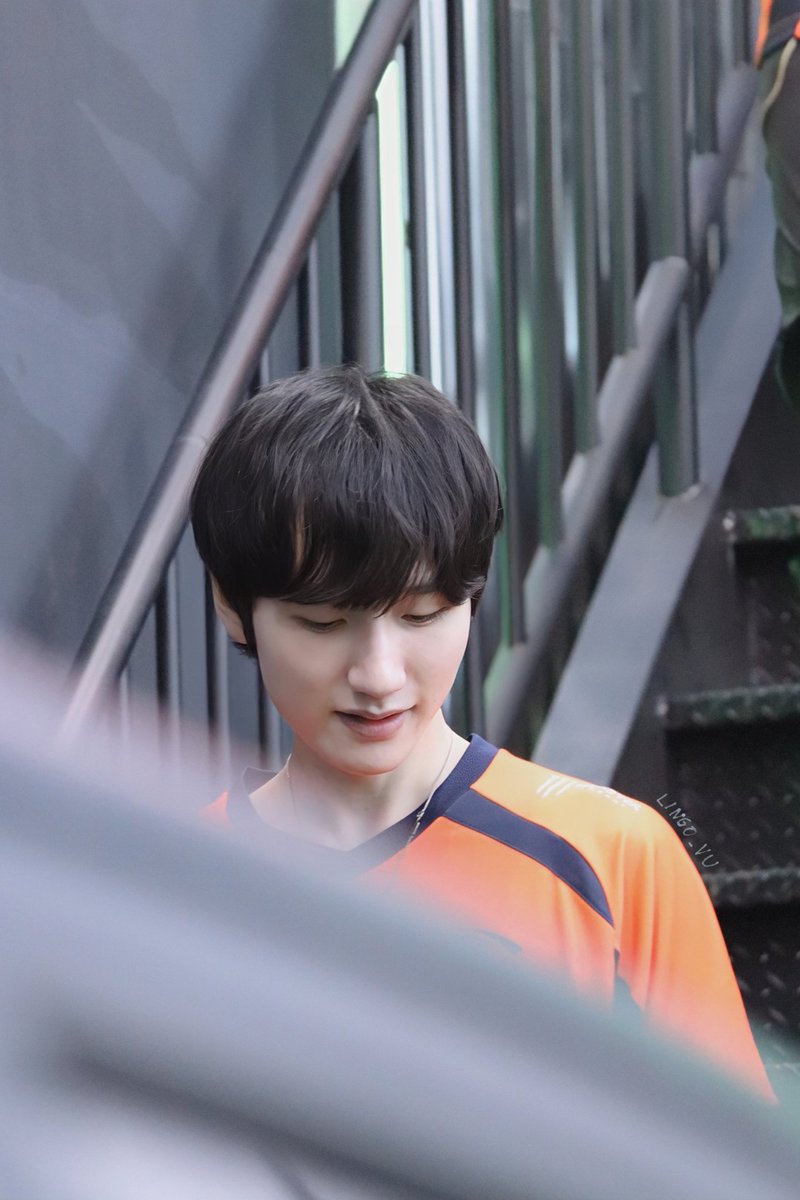 Lingo Vu 🌼 tweet media