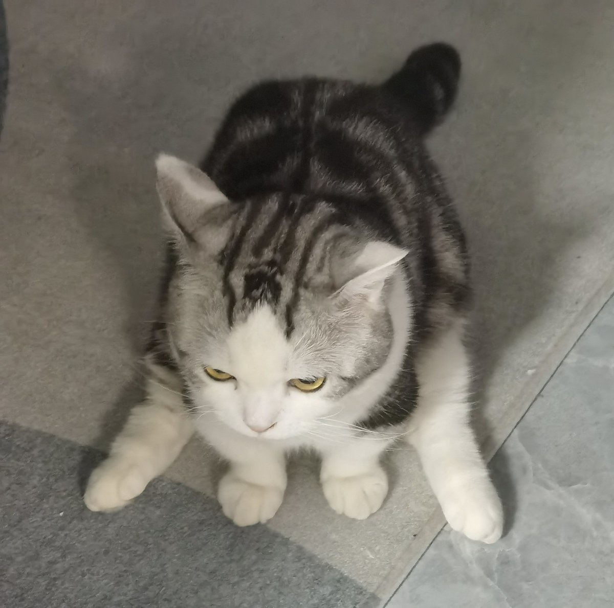 𝕊𝔾ℝ tweet media