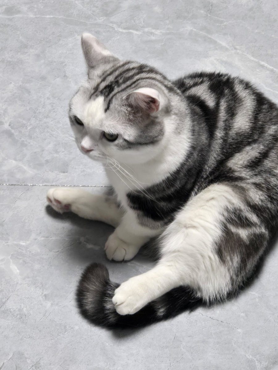 𝕊𝔾ℝ tweet media