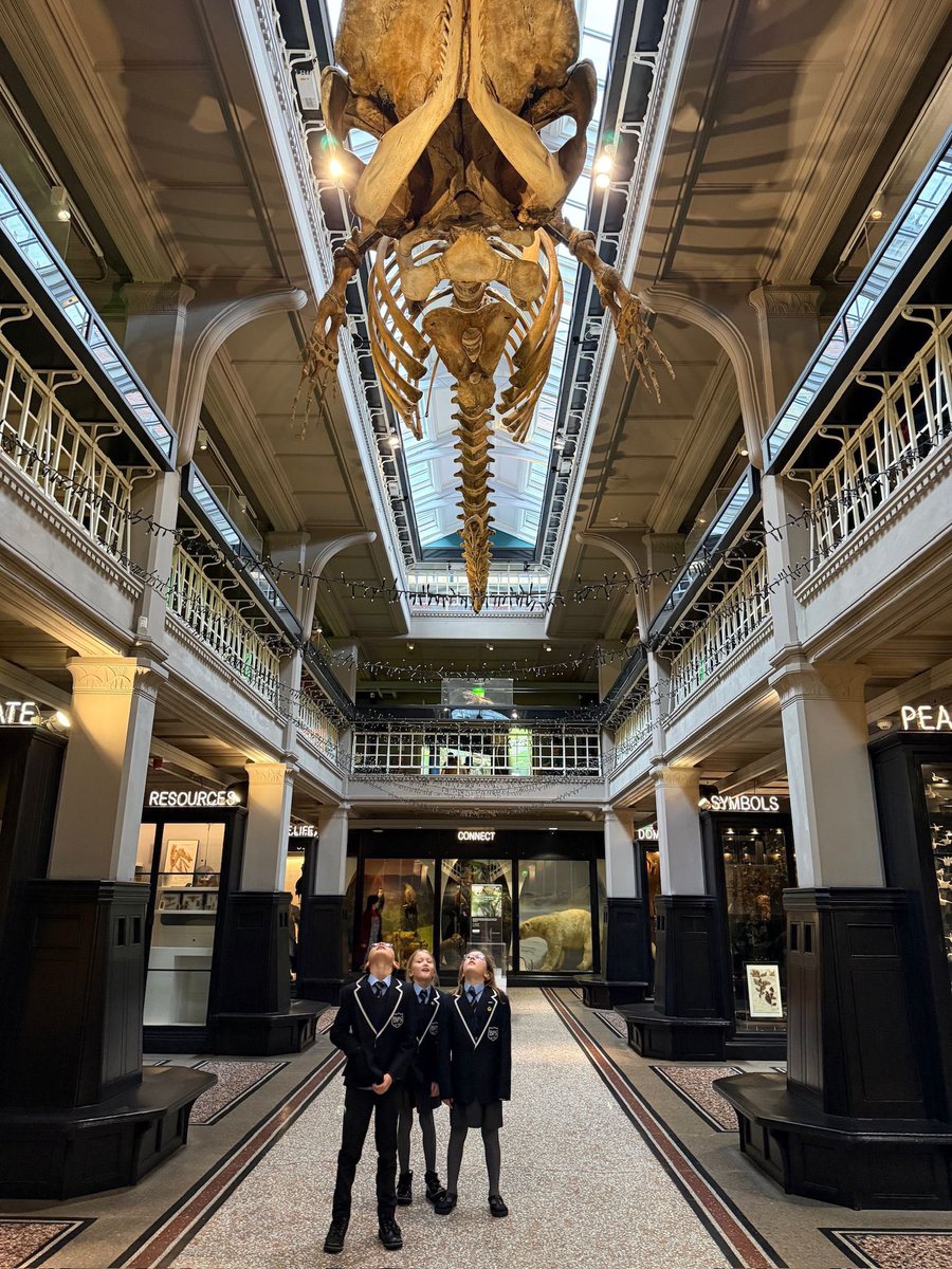 Brabyns Prep School tweet media