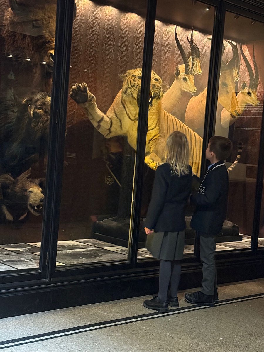 Brabyns Prep School tweet media