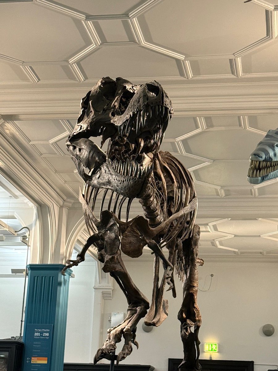 Brabyns Prep School tweet media