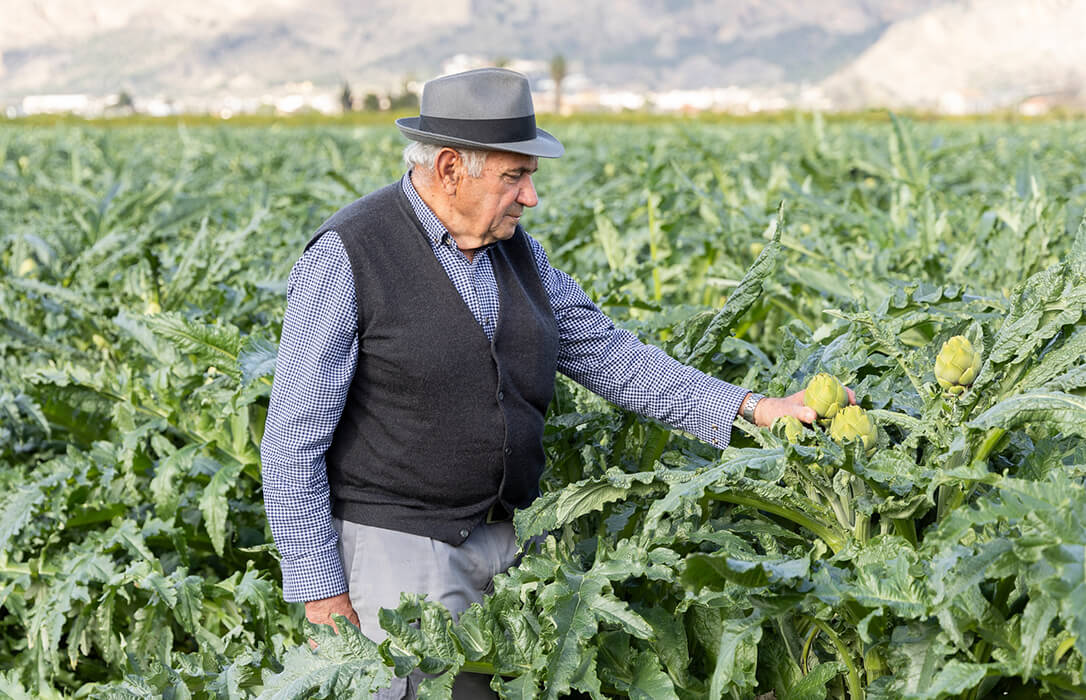 Agroinformacion tweet media