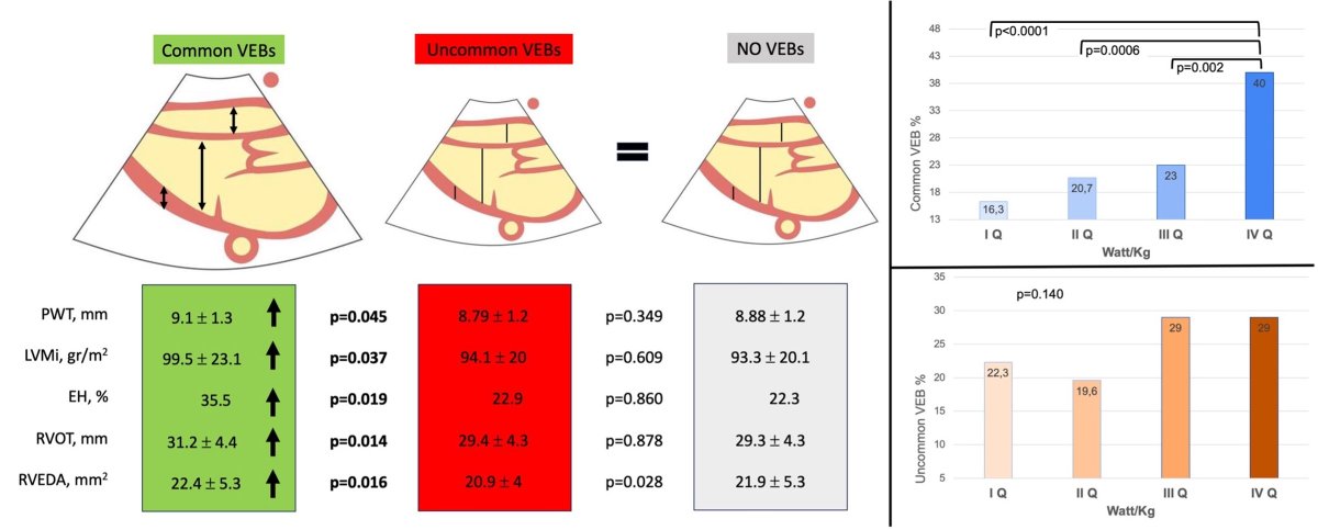 Athlete’s Heart or Heart at Risk? Cardiac Remodeling and Exercise-Induced Ventricular Arrhythmias in Elite Athletes
ahajournals.org/doi/10.1161/CI…
#Arrhythmias #athletes #Exercise #Sportscardiology