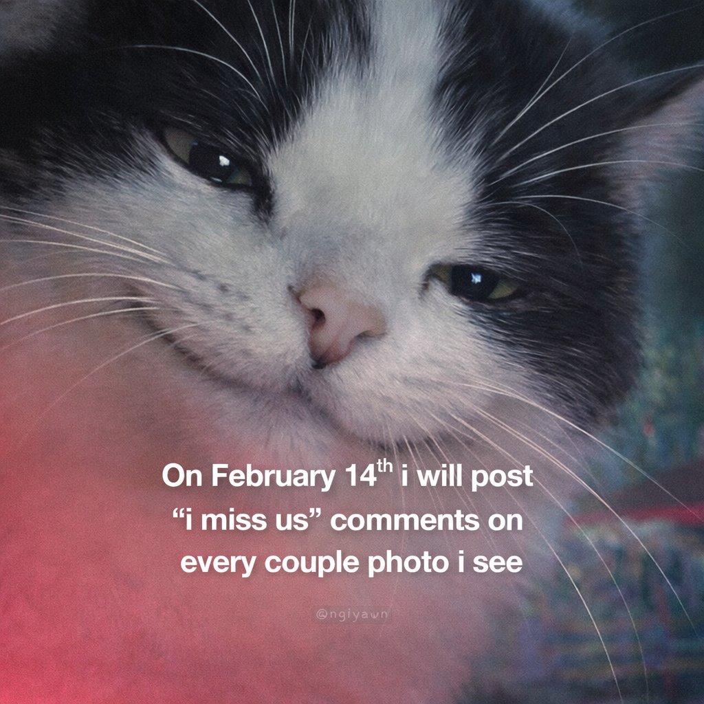 😺🎧 Gm Gm everyone.

Daily reminder: remain wary. Beware of the $Ohh-long cat.