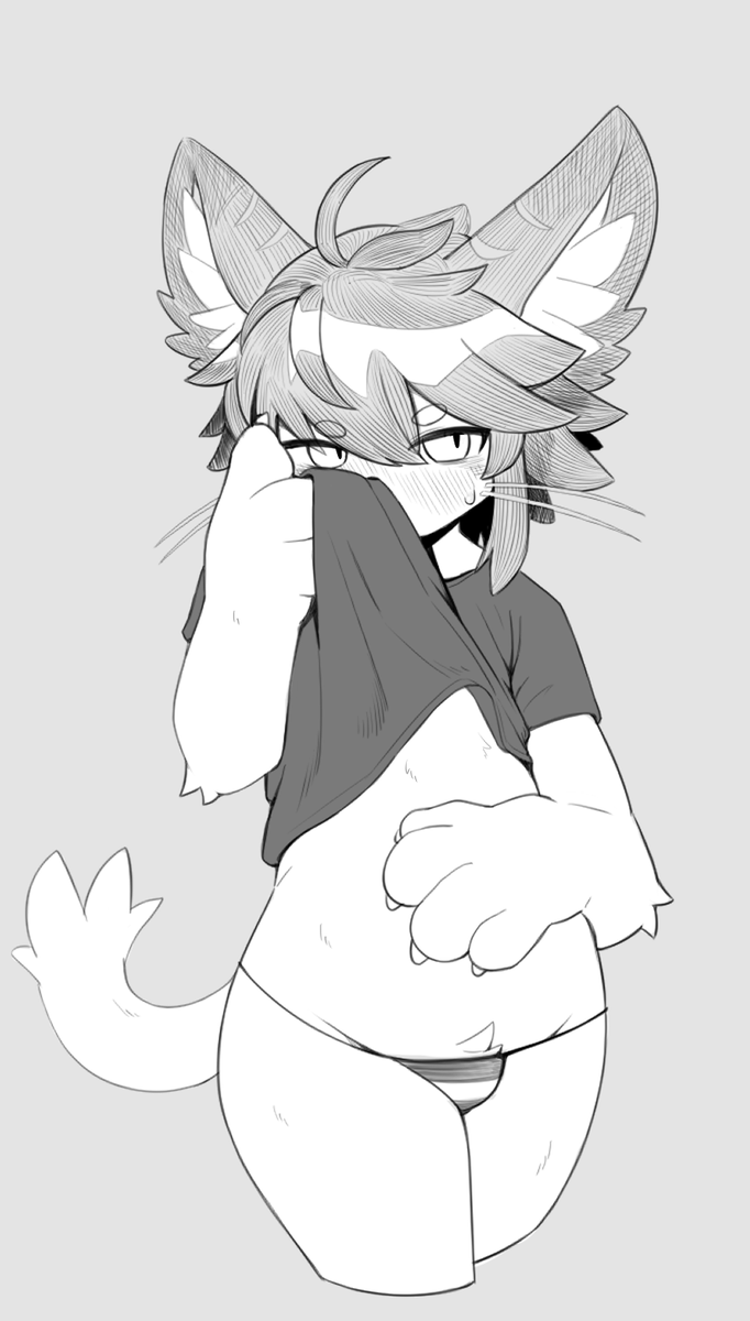 もけ。@vrc tweet media