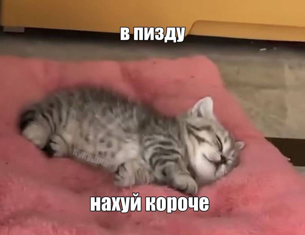 аконитовое зелье tweet media