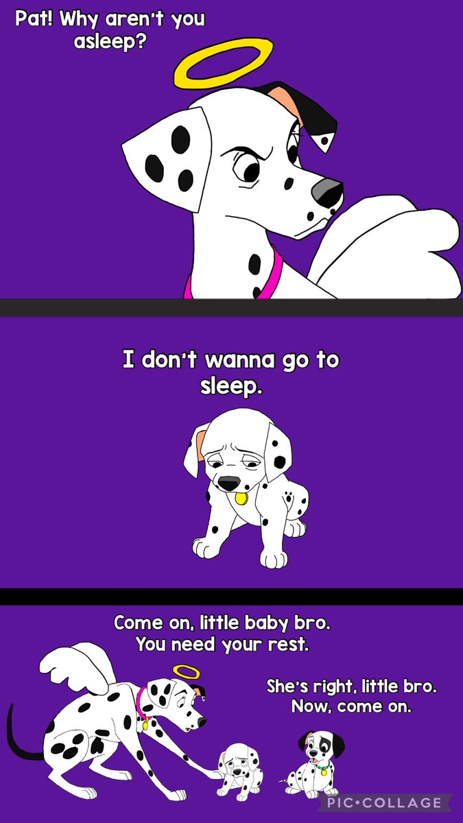 🐶ᴘᴀᴛ ᴅᴀʟᴍᴀᴛɪᴀɴ🐶 tweet media