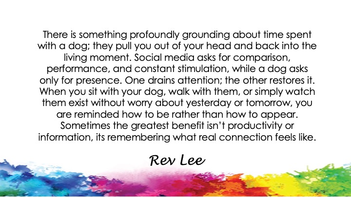 RevWolak's tweet photo. Your Dog Knows Something Your Phone Doesn’t
#Spirituality #Meditation #Healing #Selflove #HigherConsciousness #SpiritualGrowth #RaisingVibration #EmotionalHealing #SpiritualAwakening #SelfWorth #ScienceOfMind #RevLeeWolak #Zen #ThePowerInYou #MindBodySoul #SelfRealization https://t.co/8klJUzsec8